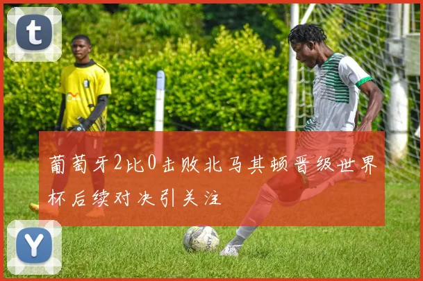 葡萄牙2比0击败北马其顿晋级世界杯后续对决引关注