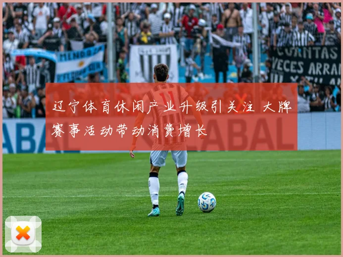 辽宁体育休闲产业升级引关注 大牌赛事活动带动消费增长