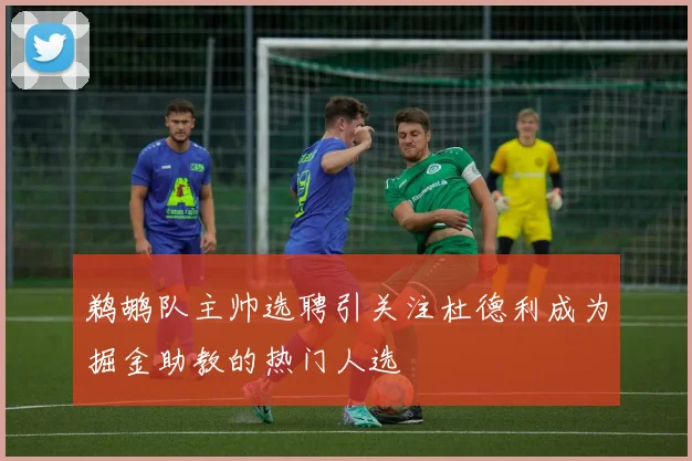 鹈鹕队主帅选聘引关注杜德利成为掘金助教的热门人选