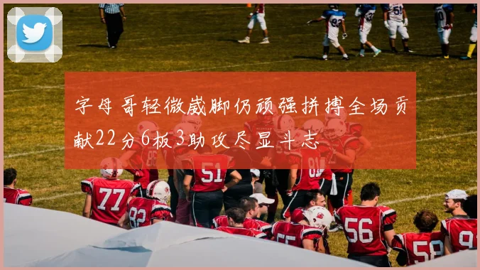 字母哥轻微崴脚仍顽强拼搏全场贡献22分6板3助攻尽显斗志